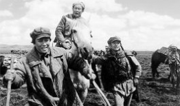 长征长征电视剧,风雨兼程，铸就辉煌